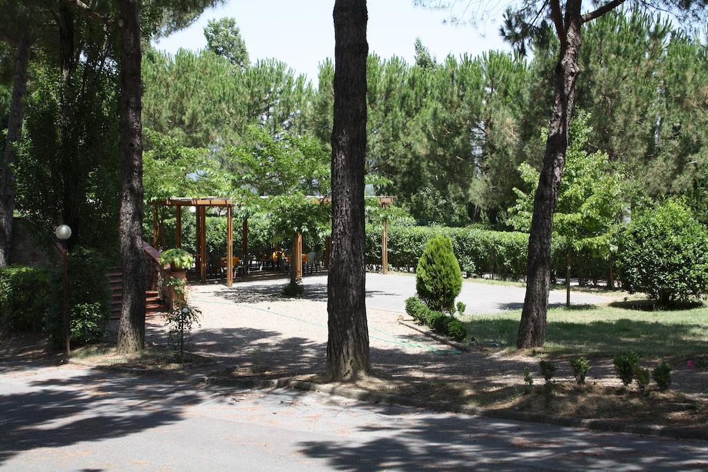 Hotel Ristorante Il Pino Κιούζι Εξωτερικό φωτογραφία